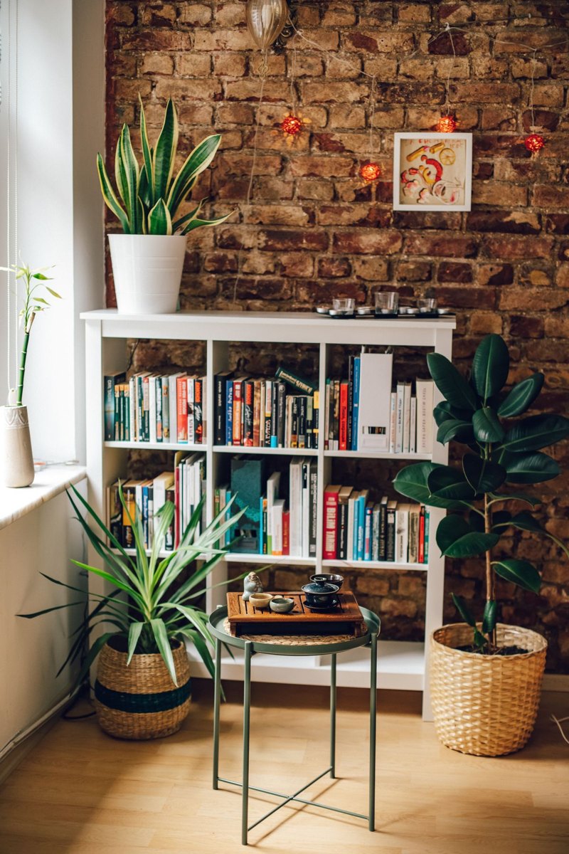 Tall bookcase standing in a furnished room