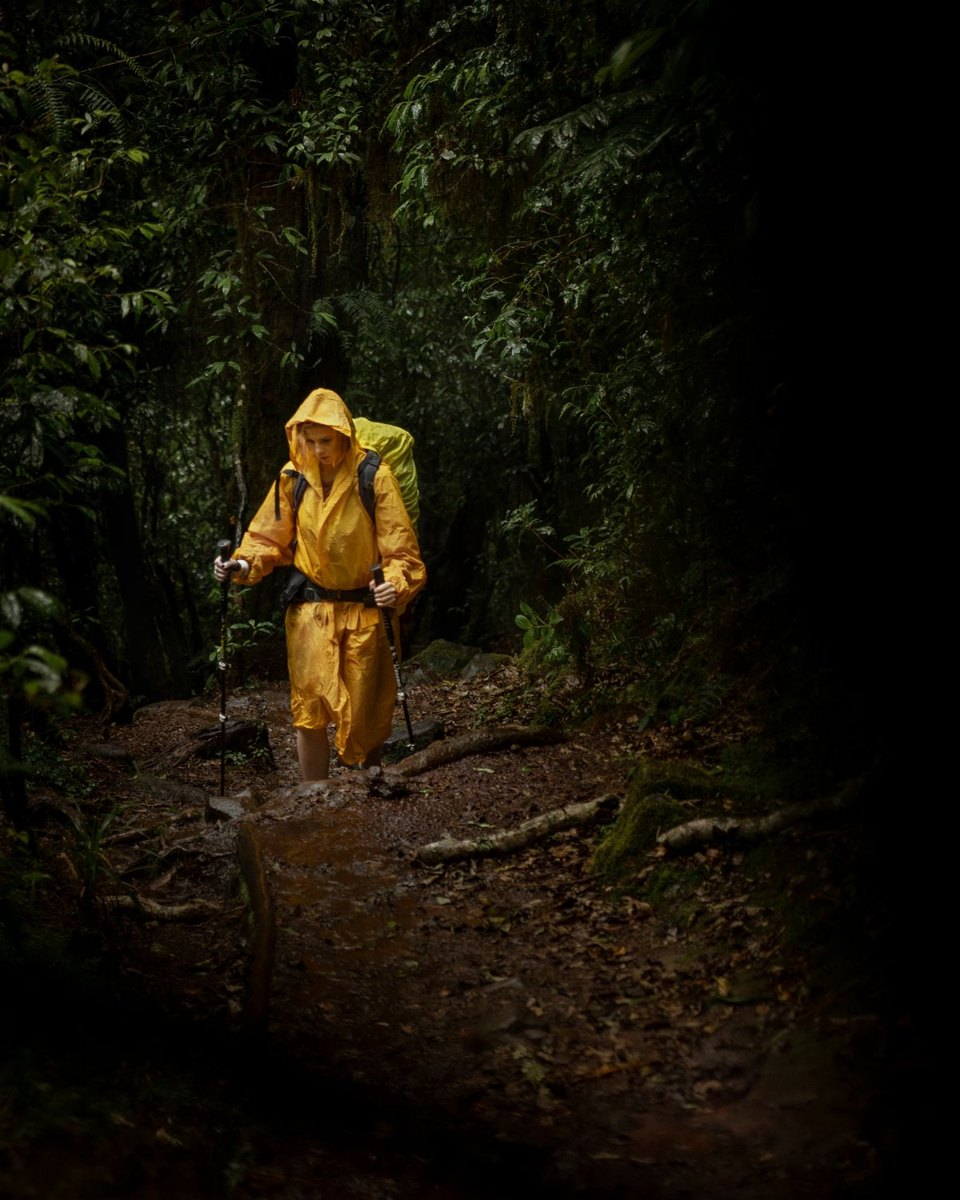 Walker wearing a yellow rain jacket in a wet forest