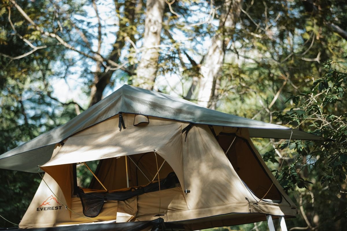 Tent pitched in a wooded campsite