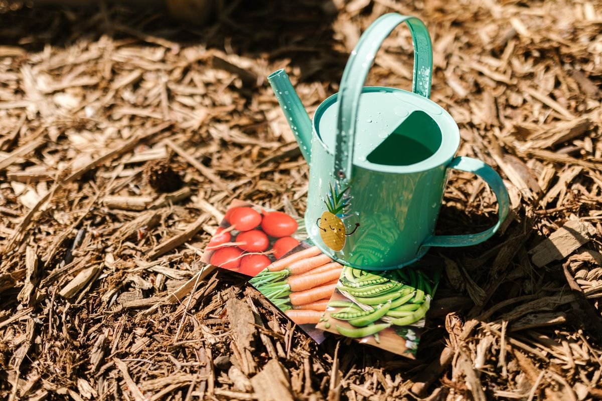 Seed packets arranged beside a watering can